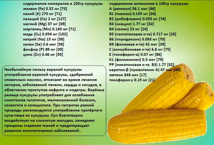 Состав и полезные свойства кукурузы